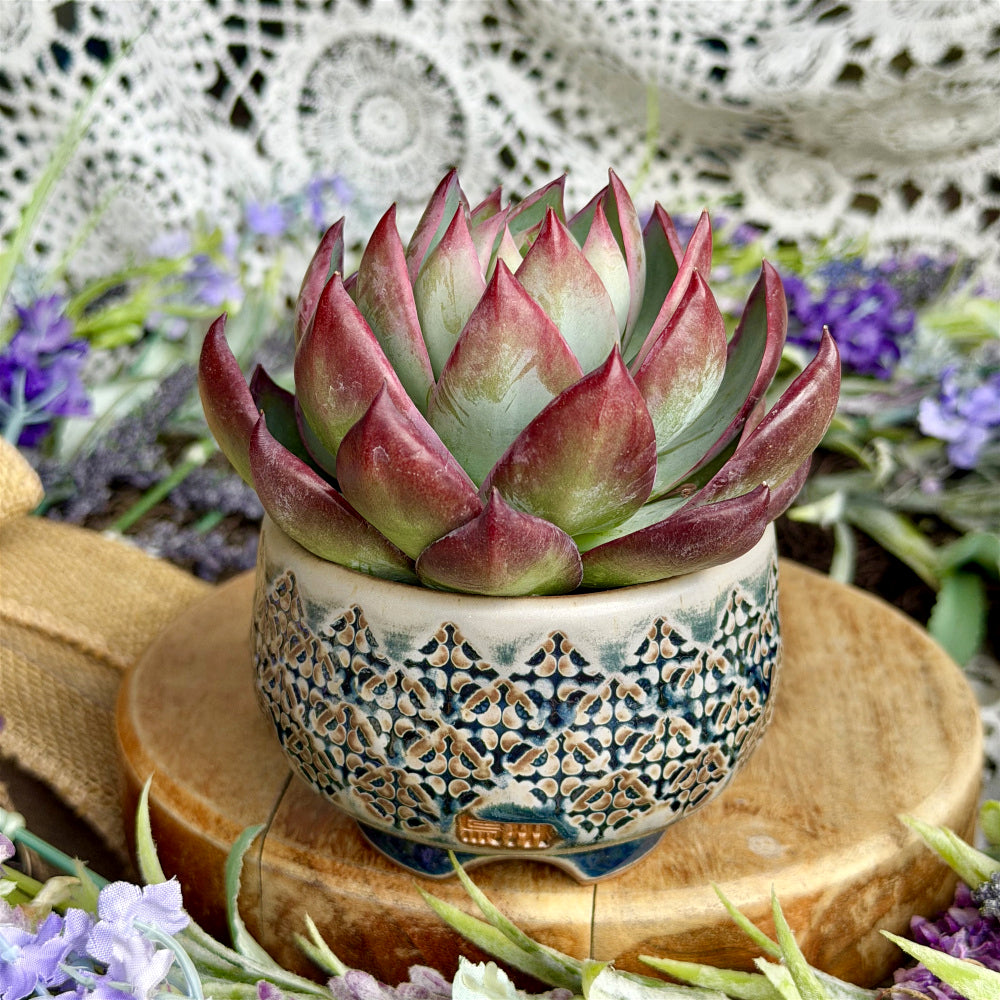 WS-0050 Modern Handmade Ceramic Planter Pot - Pot rim diameter: 3"