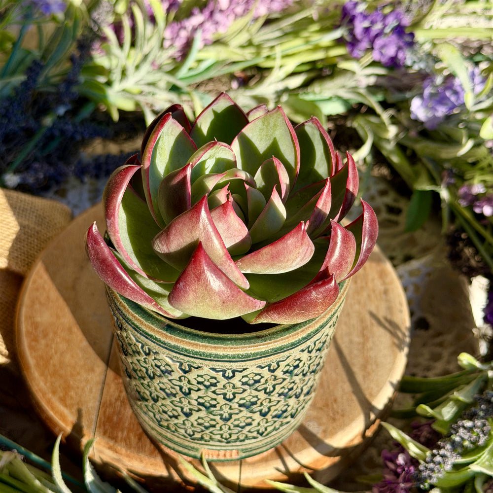 WS-0053 Rustic Handmade Clay Planter Pot - Pot rim diameter: 3"