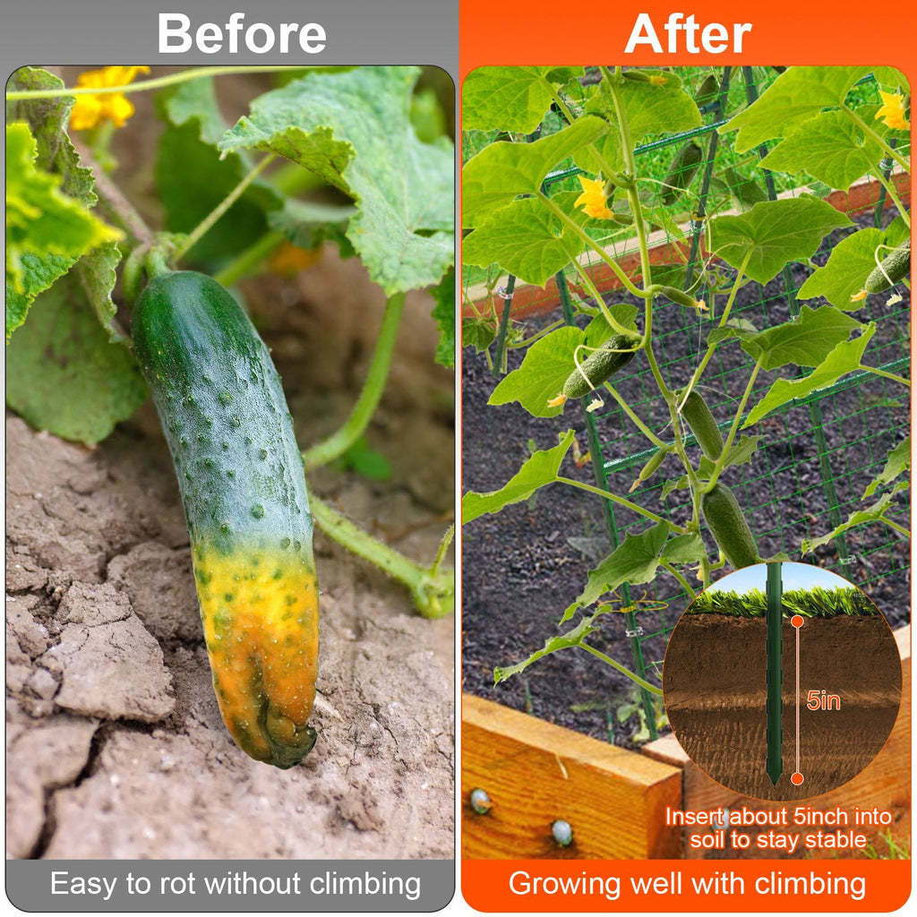 Cucumber Trellis for Raised Bed Arch Garden Trellis for Climbing Plants Vine Vegetables Fruit Flower Grape U-Shaped Frame with Climbing Net Tunnel Pla