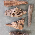 Malaysian Driftwood Medium (7-12")