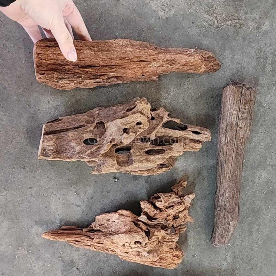 Malaysian Driftwood Medium (7-12")