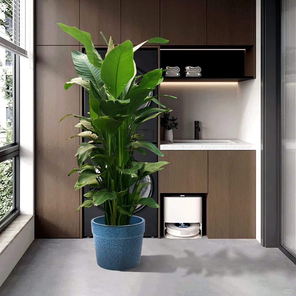 3 Pieces Ceramic Flowerpot, Modern Planter for Patio, Garden or Windowsills - Antique Blue