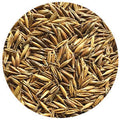 Black Oats