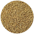 German Foxtail Millet