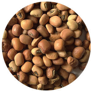 Iron Clay Cowpeas