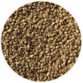 Japanese Millet