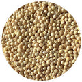 Huntsman Proso Millet