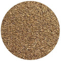 Kentucky Bluegrass