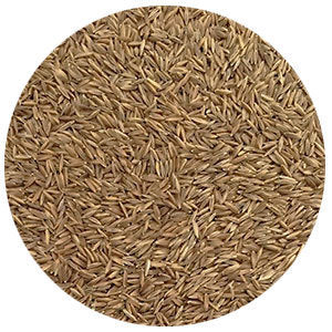 Kentucky Bluegrass