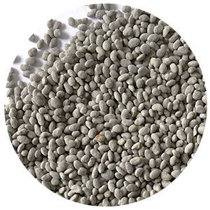 Vernal Alfalfa (C & I)
