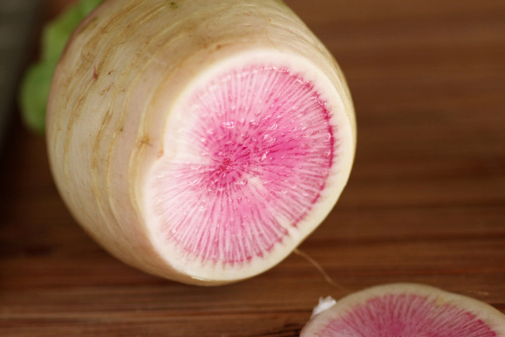 500 Watermelon Radish