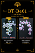 Phalaenopsis schilleriana (蒼龍 x Super Polar Bear C)