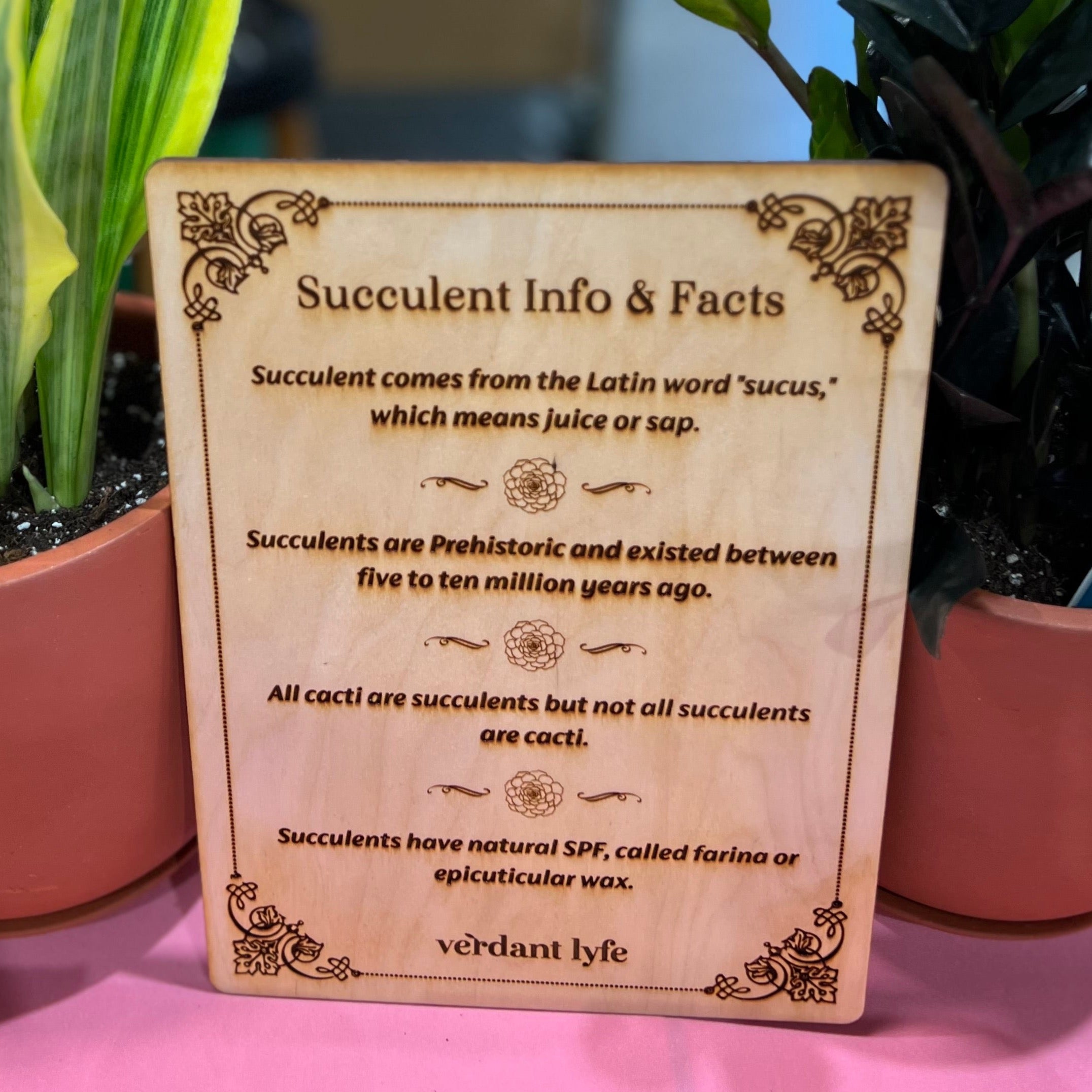 Love Grows Here Succulent Workshop- TBD