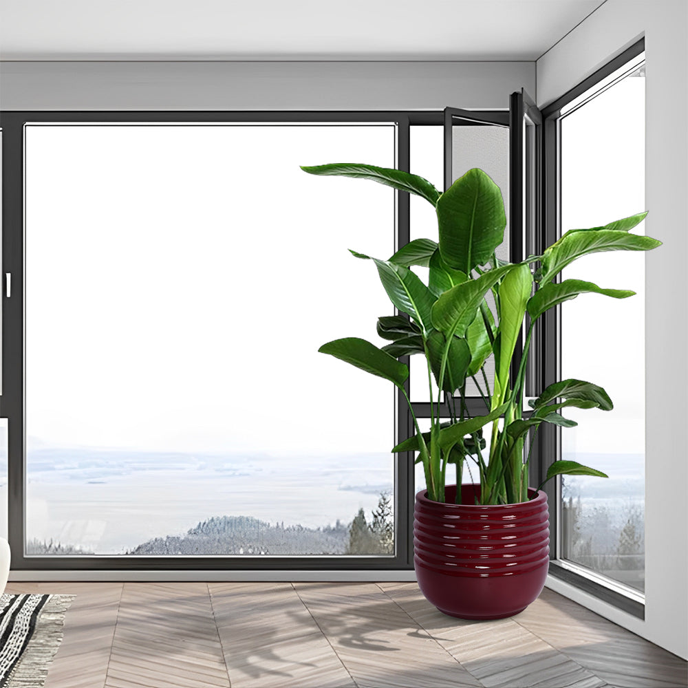 3 Pieces Ceramic Flowerpot, Modern Planter for Patio, Garden or Windowsills - Bean Paste Red