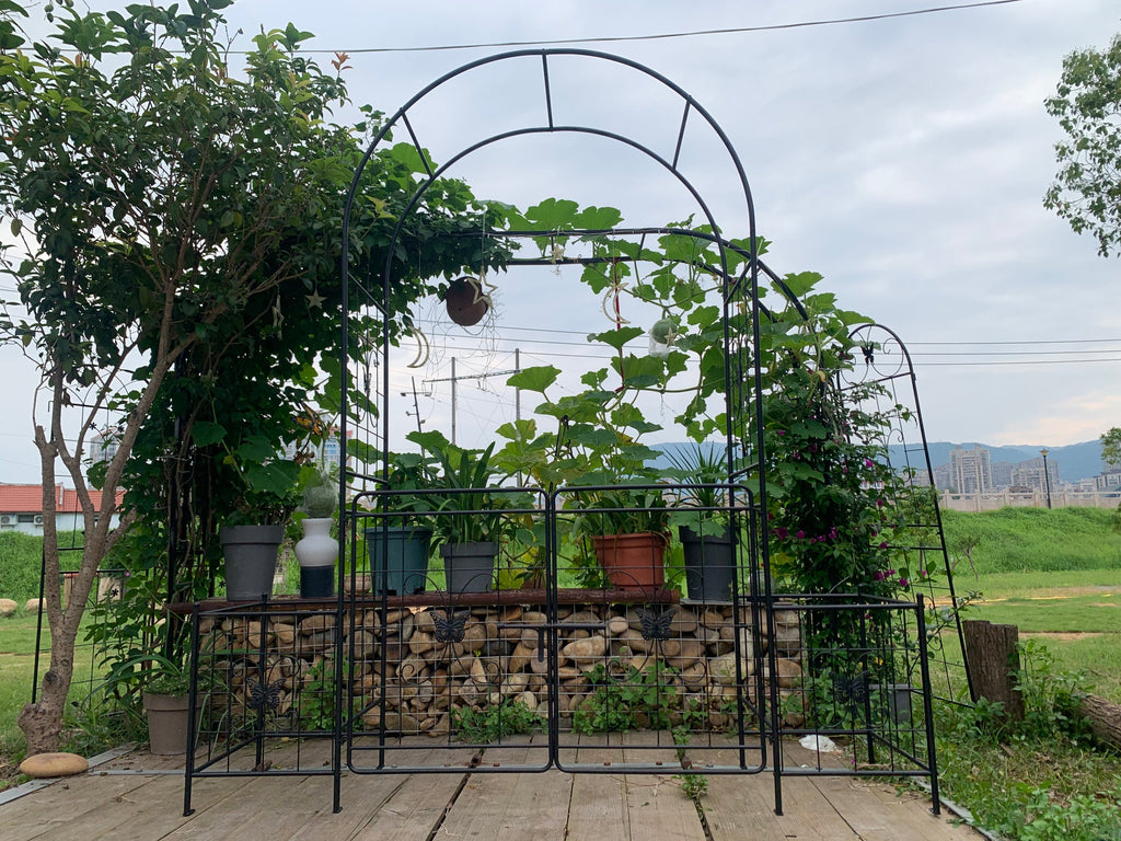 Garden Arch Arbor Trellis for Climbing Plants with Gate