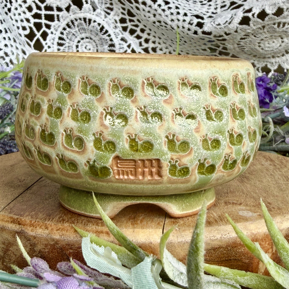 WS-0049 Artisan Handcrafted Pottery Planter Pot - Pot rim diameter: 3"