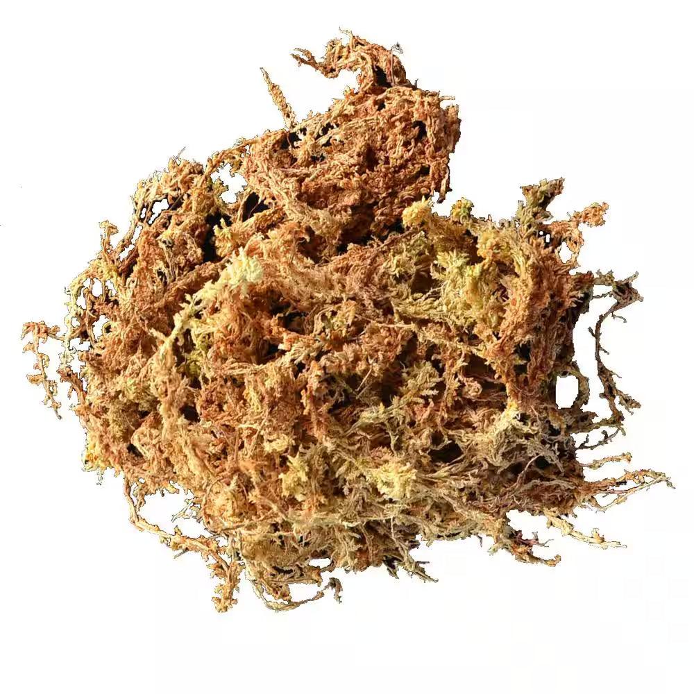 Long Fibered Sphagnum Moss 432 Cu. In.