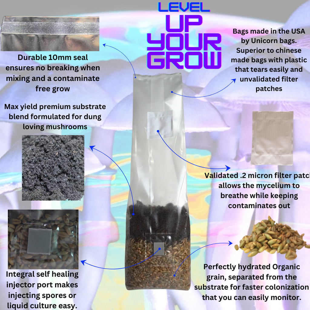 Mini All In One Mushroom Grow Bag