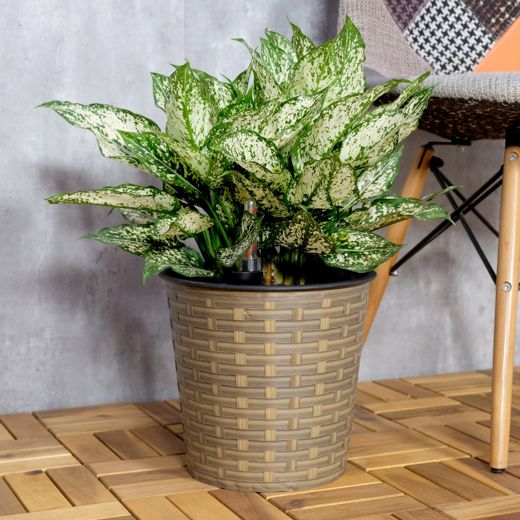 13.4' Self-watering Wicker Decor Planter for Indoor and Outdoor - Round - Natural