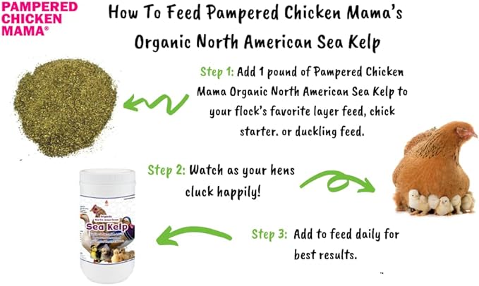 Organic Kelp for Chickens & Duck Feed (1 Pound): Chicken Vitamins | Chicken Supplements | Vitamins for Chickens | Pampered Chicken Mama