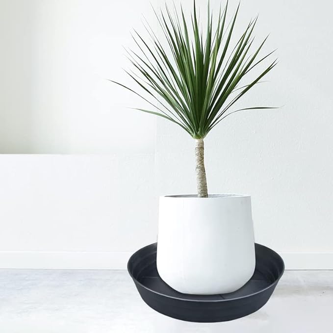 Plant Saucer 14 Inch 2 Pack 10 12 14 16 18 20 25, Plastic Plant Trays for Pots，Extra-Deep Plant Water Dray Tray, Bird Bath Bowl, Heavy Flower Plant Saucers Indoors and Outdoor No Holes