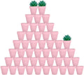 vensovo 48 Pcs 2" Tiny Terracotta & Terra Cotta Pots with Drainage - Peach Pink Small Mini Clay Ceramic Pottery Planter Ideal for Indoor/Outdoor Plants, Crafts, Wedding Favors