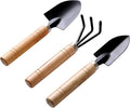 Garden Tools Set-Garden Rake Trowel, Small Succulent Plant Transplant Trowel Set,3 Piece Mini Premium Gardening Hand Kit,1 Narrow Shovel,1 Wide Shovel and 1 Garden Tools Set Gift for Older and Kids