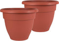 The HC Companies Caribbean Planter Pot - Outdoor & Indoor Plant Pot with Drainage Hole & Plug - Rolled Rim Plastic Pots for Plants & Flowers - Decorative Plant Pot (10" Clay, Pack of 2)