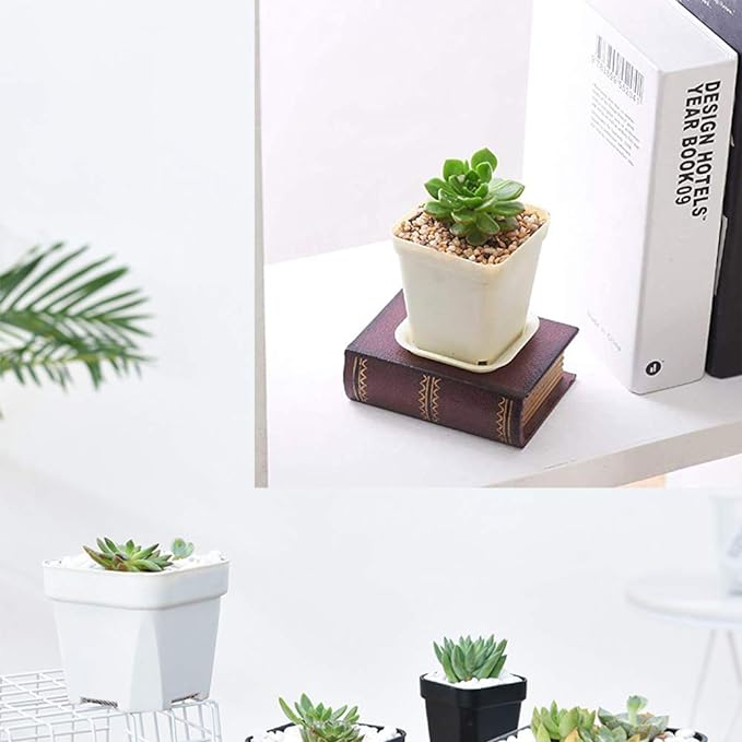 OJYUDD 3inch White Square Plastic Pots with Saucer, Drainage Hole, 24 Pcs, for Flower/Plant, Home,Company,Office and Garden(White)