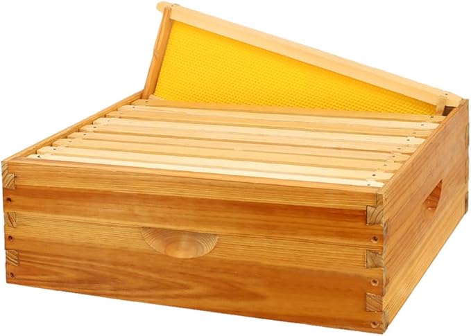 10 Frame Bee Hive Box, Langstroth Medium Super Bee Box Dipped in 100% Beeswax Include Beehive Frames and Waxed Foundation Sheets (Unassembled)