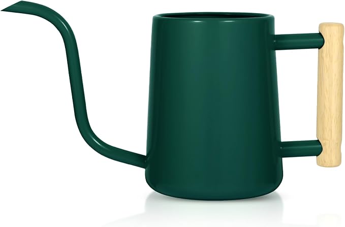 Watering Can Indoor Plants, 35 oz/1000 ml Metal Stainless Steel Watering Can Pot with Long Spout for Indoor House Plants Bonsai Outdoor Garden Flower Decorative (Alpinegreen)