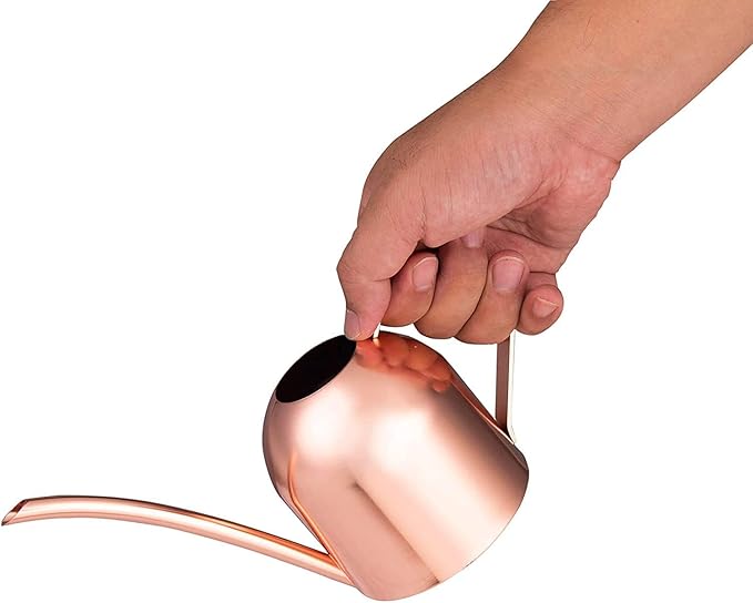 IMEEA Small Watering Can for Indoor Plants Stainless Steel Indoor Watering Can with Long Spout, 15oz/450ml