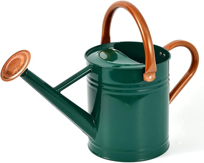 Steel Watering Can Sliver Galvanized Steel Watering Can with Copper Accents,Removable Rosette-Diffuser,One-Gallon Green