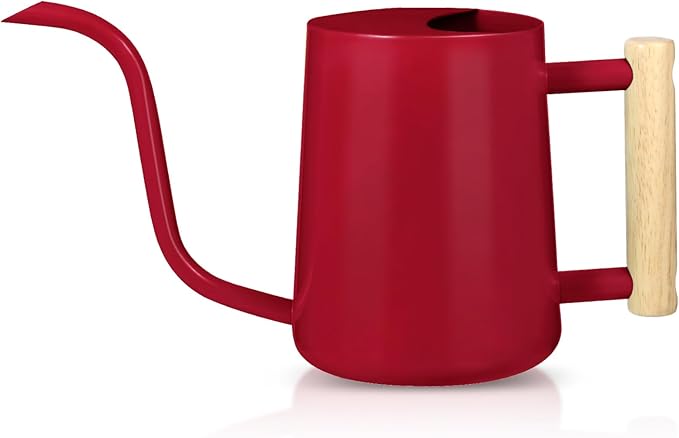 Watering Can Indoor Plants, 35oz Small Stainless Steel Metal Watering Can Modern Decorative Watering Pot with Long Spout for Indoor House Plant Bonsai Garden Flowers (Red)