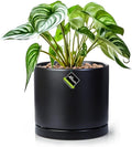 Aveyas 8 inch Ceramic Plant Pot with Drainage Hole and Saucer - Suitable for Indoor and Outdoor Use, Modern Planters for House Garden Flower Tree Snake Monstera Plants (8", Matte Black)