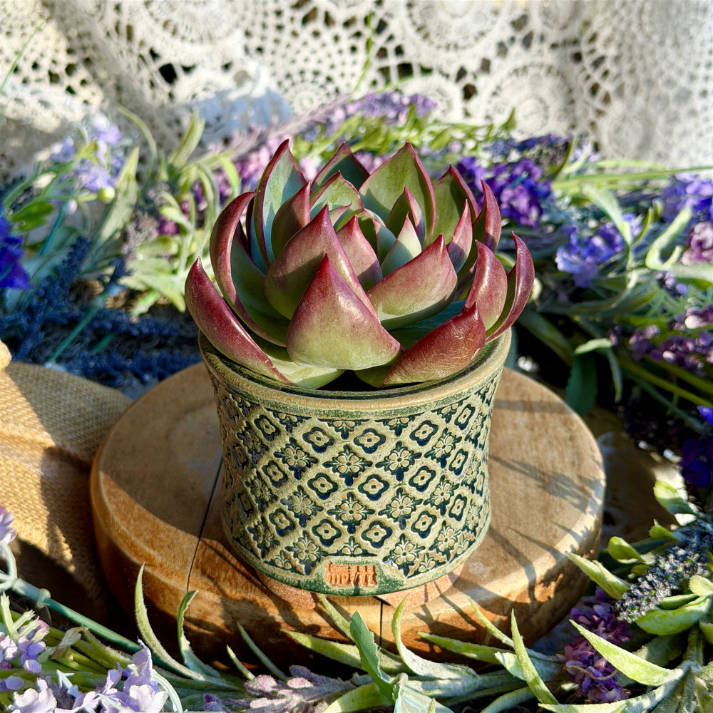 WS-0055 Handmade Artisan Pottery Planter Pot - Pot rim diameter: 3"