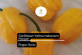 25 Caribbean Yellow Habanero Pepper Seeds – Heirloom, Non-GMO, 300,000+ Scoville Heat