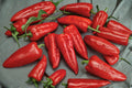 Giant Marconi Red Sweet Pepper Seeds – Heirloom Capsicum annuum for Large, Sweet Red Peppers, High Yield, Garden & Container Growing