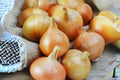 Burrell's Yellow Valencia Onion Seeds - Heirloom Allium cepa, Large Yellow Bulbs, Sweet Flavor, Vegetable Garden Planting Pack