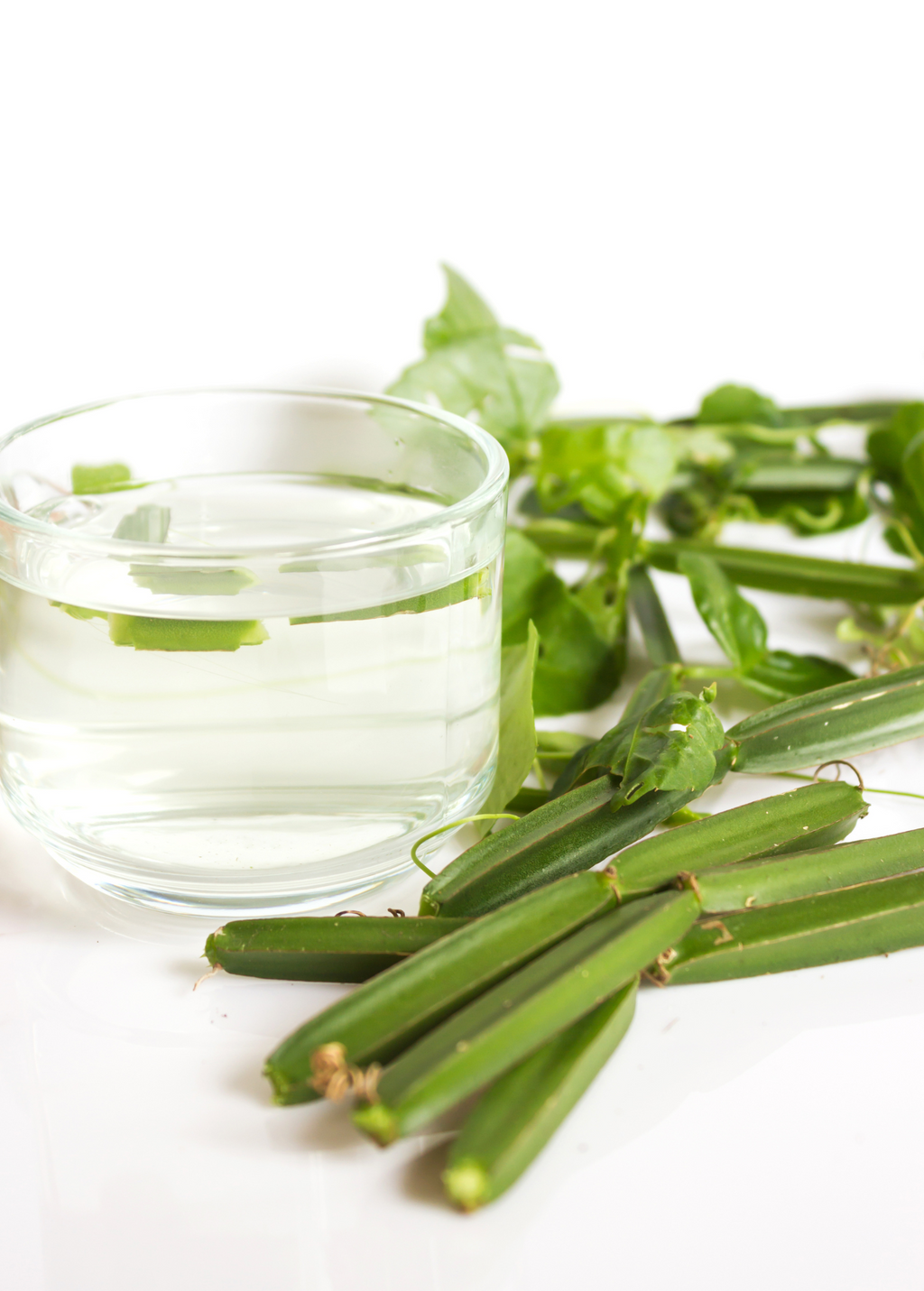 Veld Grape (Cissus quadrangularis)