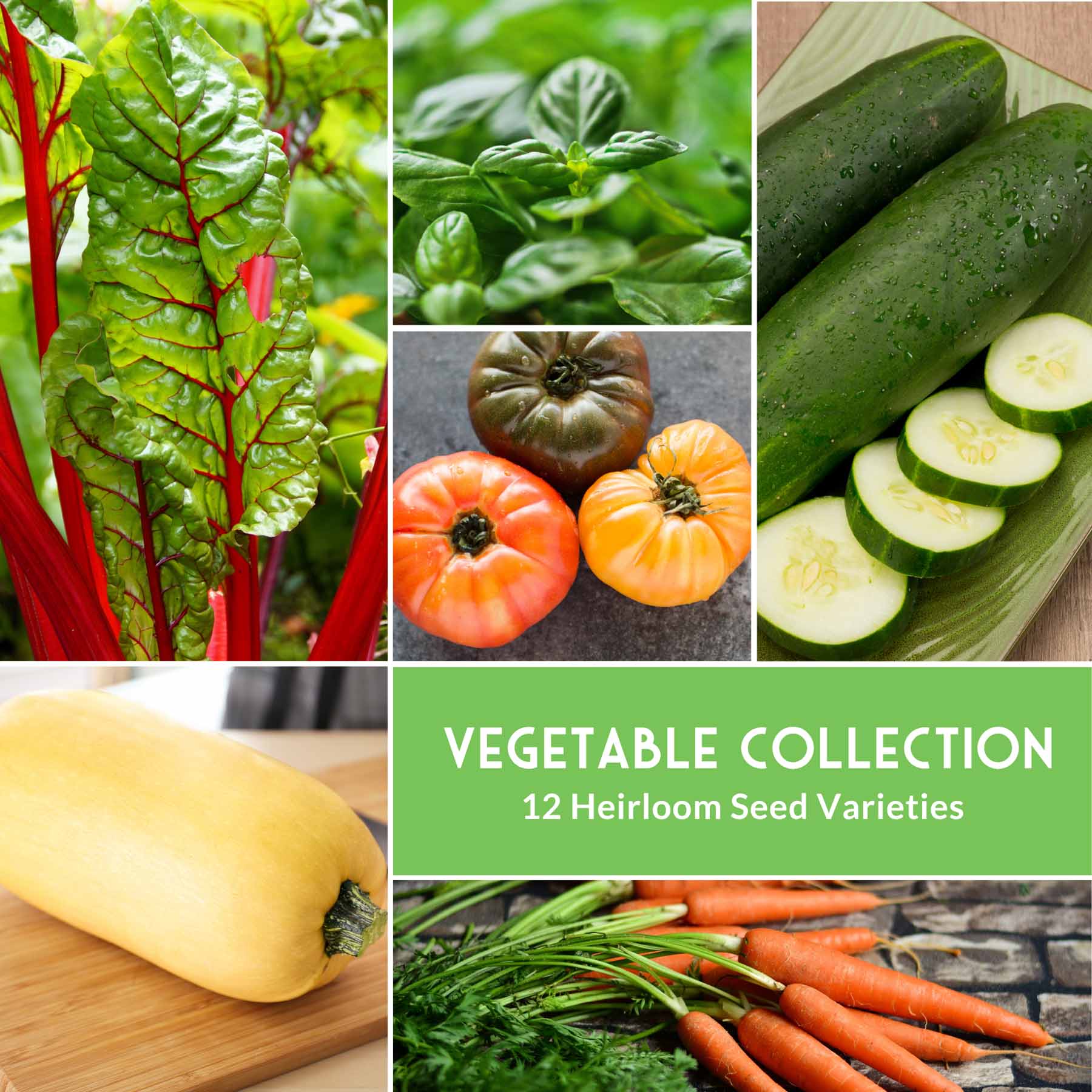 12 Vegetable Seed Collection – Heirloom Non-GMO Garden Vegetables & Herbs for Home Growing