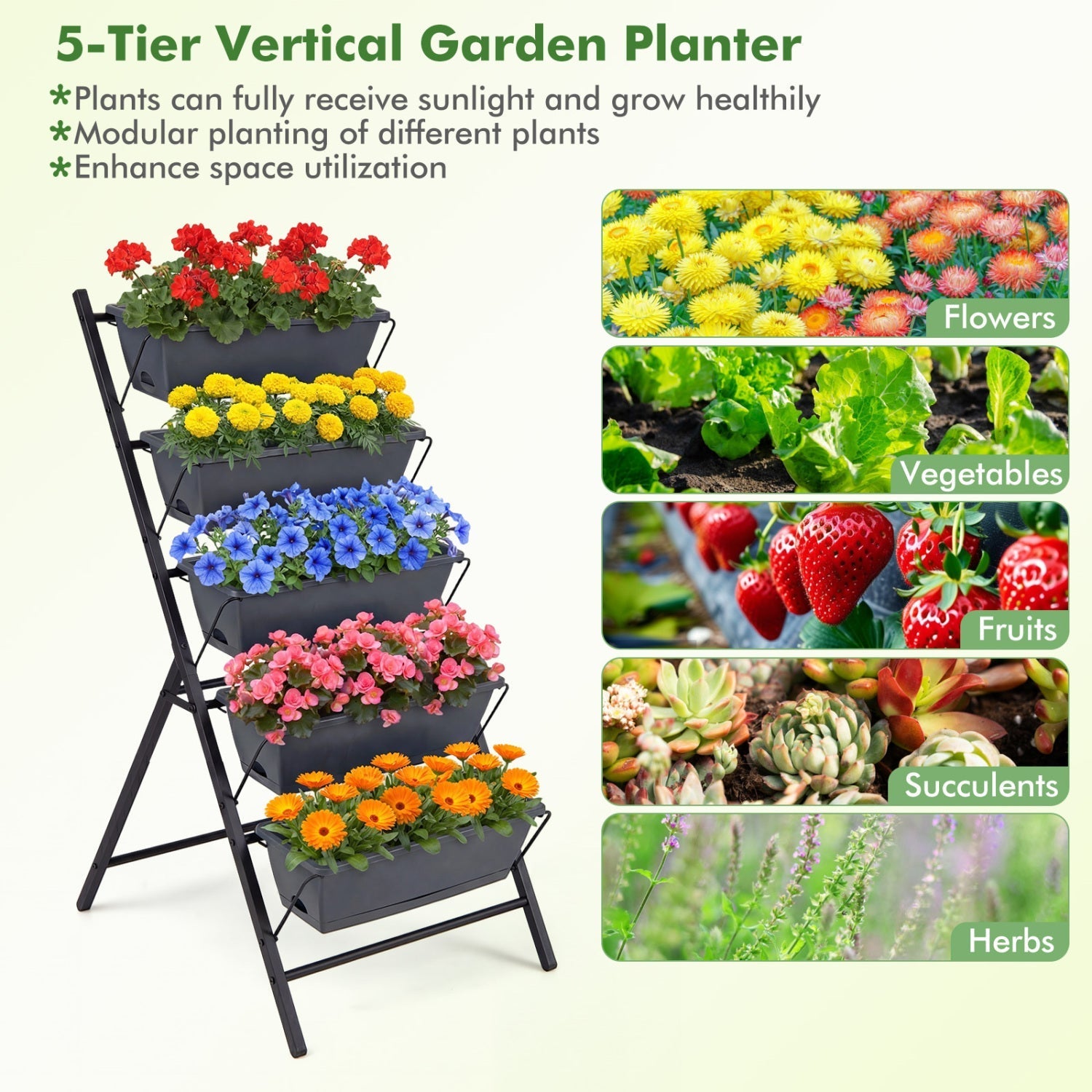 5-Tier Vertical Raised Garden Bed with Drainage System and Removable Trays for Vegetables