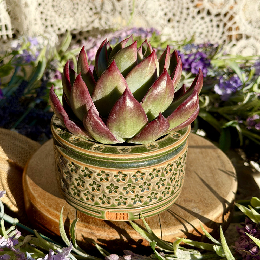 WS-0052 Rustic Handmade Clay Planter Pot - Pot rim diameter: 3"
