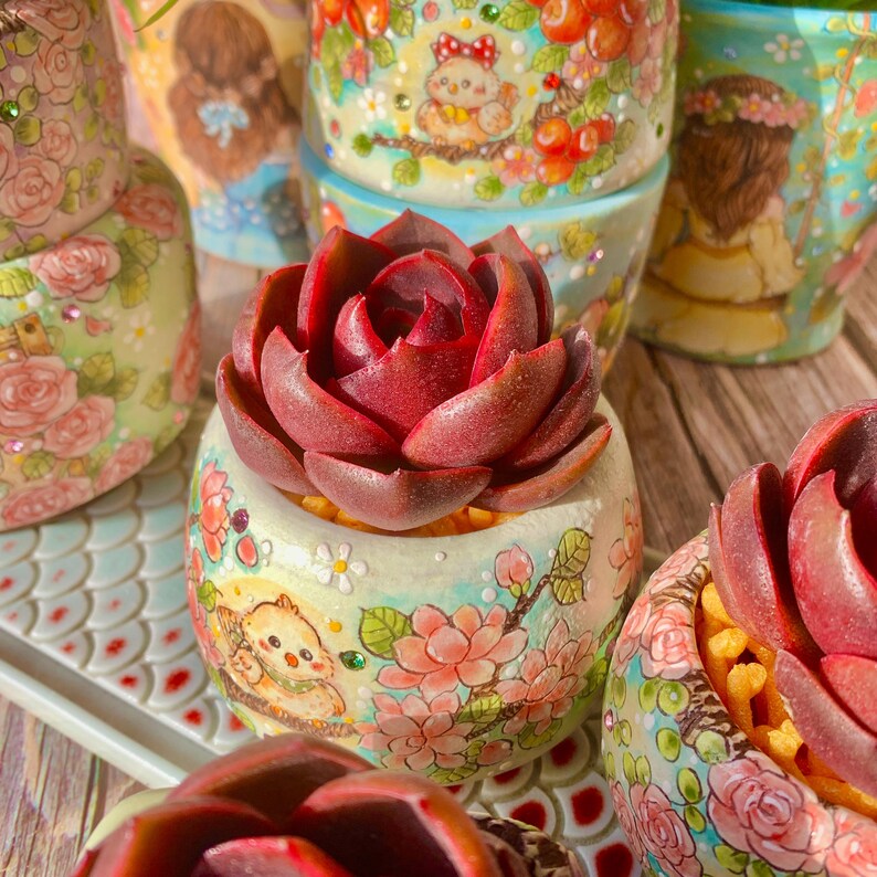 Echeveria 'Red Lantern' Approx. 3"–3.5" in Diameter