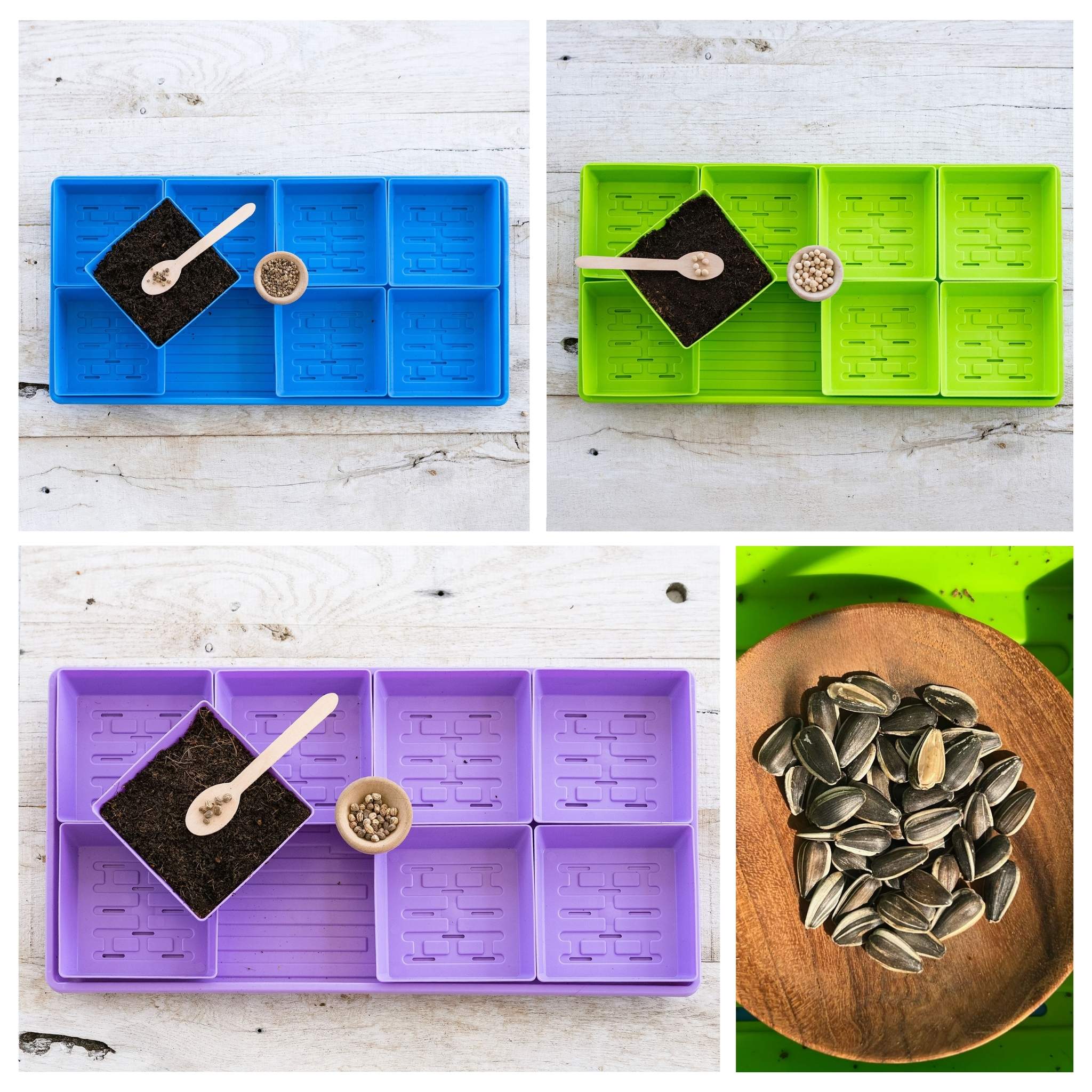 5x5 Microgreens Kit