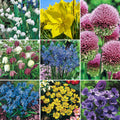 Bee and Butterfly Garden Collection