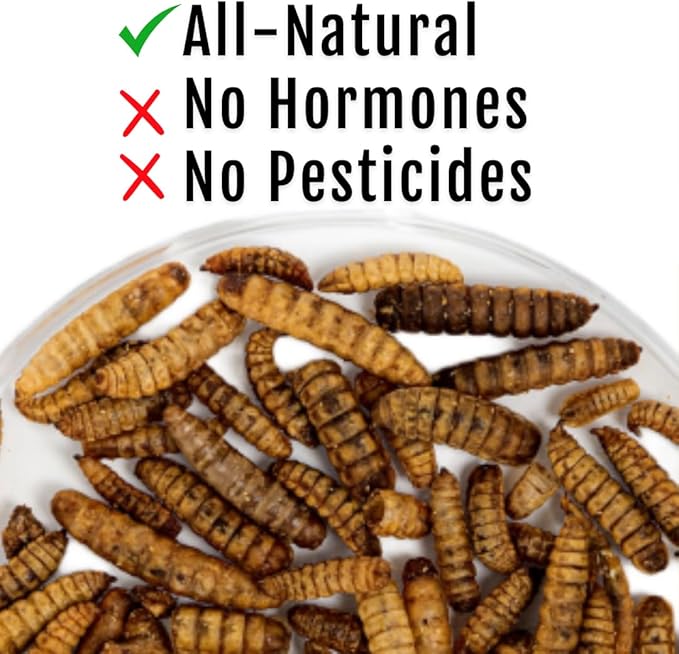 Grub Fuel Black Soldier Fly Larvae for Chickens - Nutrient-Packed BSFL, Sustainably Sourced Snack for Poultry, Rich in Protein, Calcium, Fiber, Essential Fatty Acids, USA Grown (1LB)