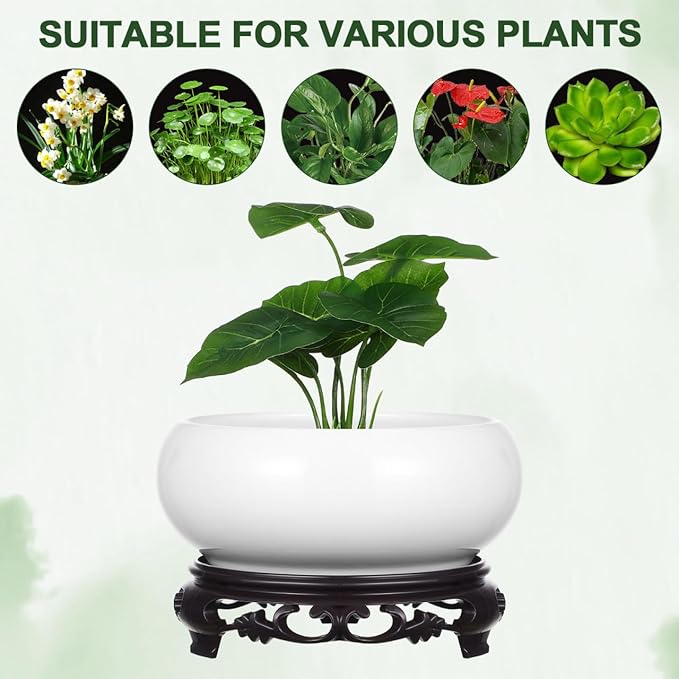 Ceramic Chinese Pot with Base White Water Lily Bowl 6Inch Porcelain Lotus Pot Jardiniere Planter Oriental Fish Bowl Bonsai Vase