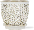 Elegant Orchid Pot with Holes, Large 6.5 inch Premium Porcelain Ceramic Orchid Pot for Repotting, Durable Ceramic Planter with Removable Saucer for Easy Drain, Planter Gifts for Moms