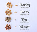 Simple Cat Grass Blend | 100% US Organic + 4 Popular Seeds | Wheat, Barley, Oats, Rye Mix Combo | Show Your Love with a Healthy Pet Snack Treat (6 Ounce ~4800 Seeds)